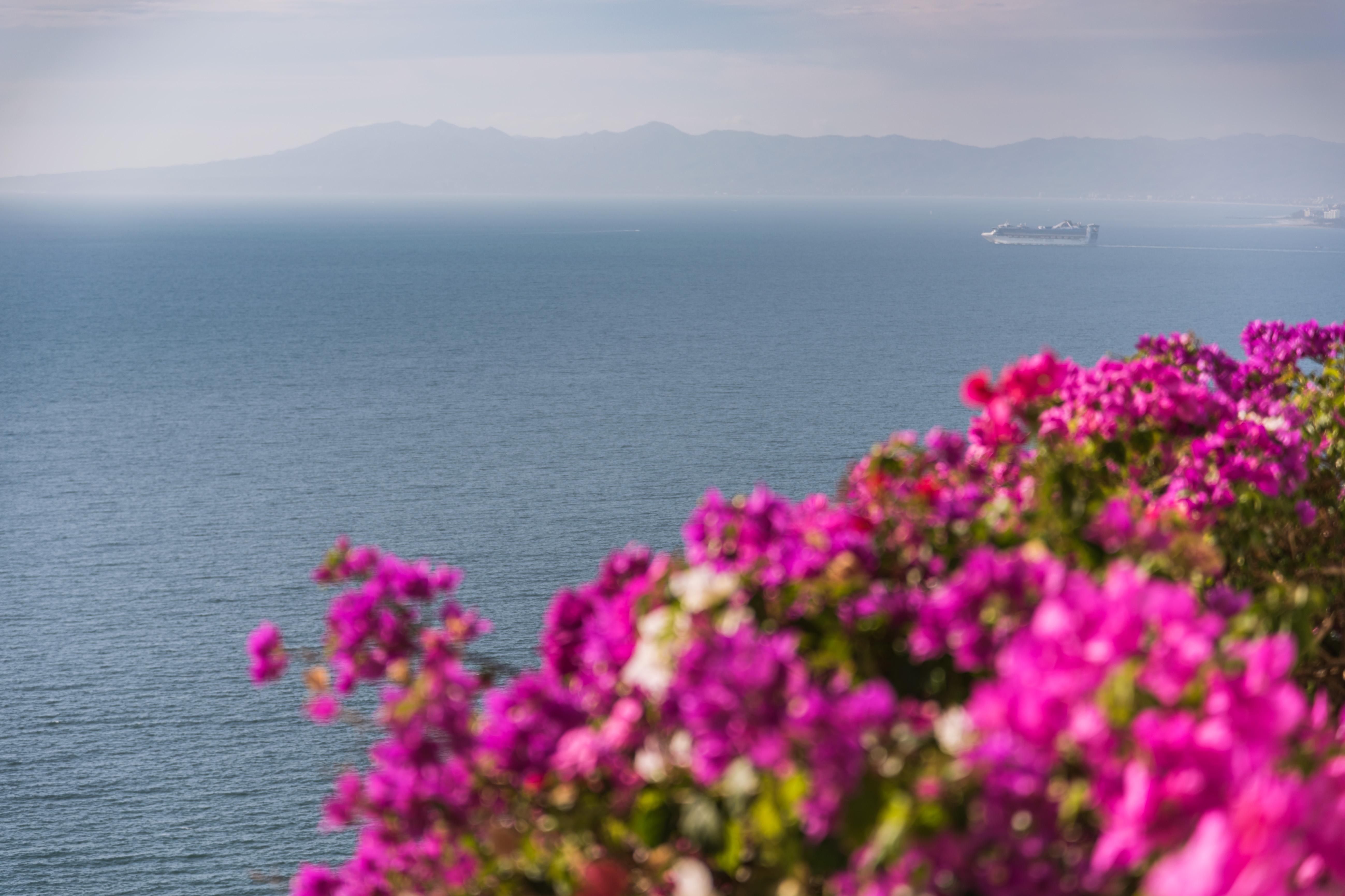 Grand Miramar All Luxury Suites & Residences (Adults Only) Puerto Vallarta Exterior photo