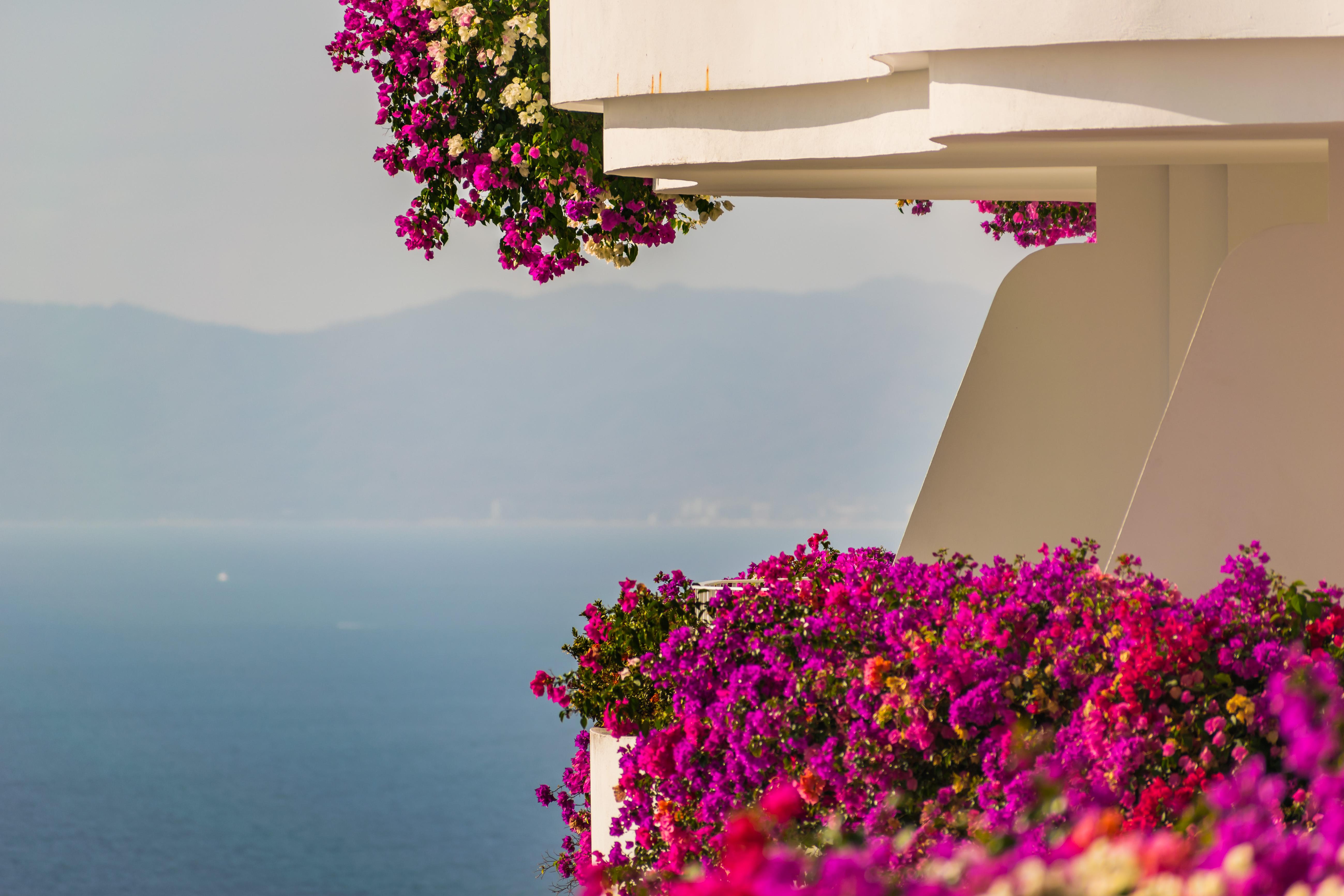 Grand Miramar All Luxury Suites & Residences (Adults Only) Puerto Vallarta Exterior photo