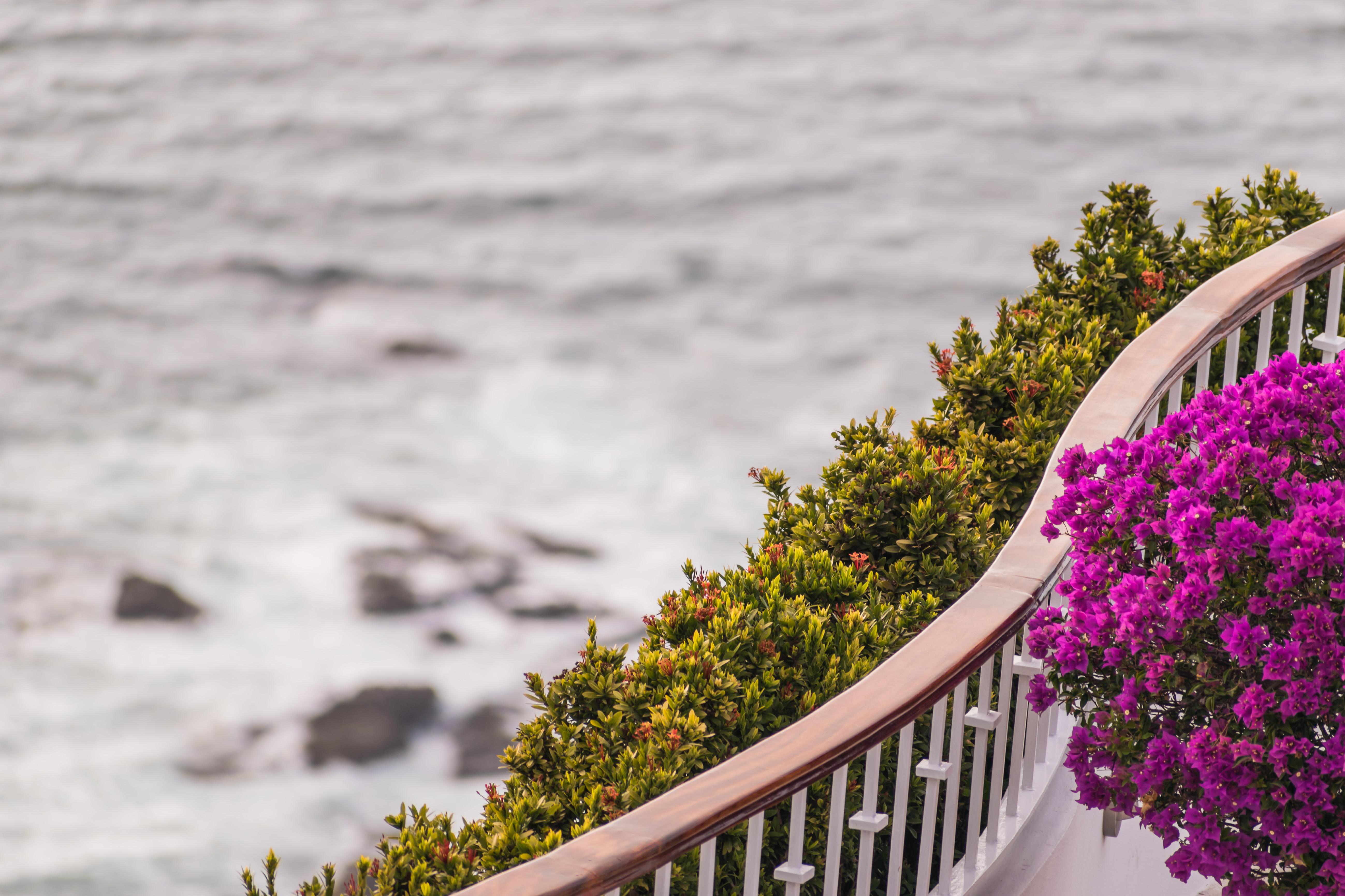 Grand Miramar All Luxury Suites & Residences (Adults Only) Puerto Vallarta Exterior photo