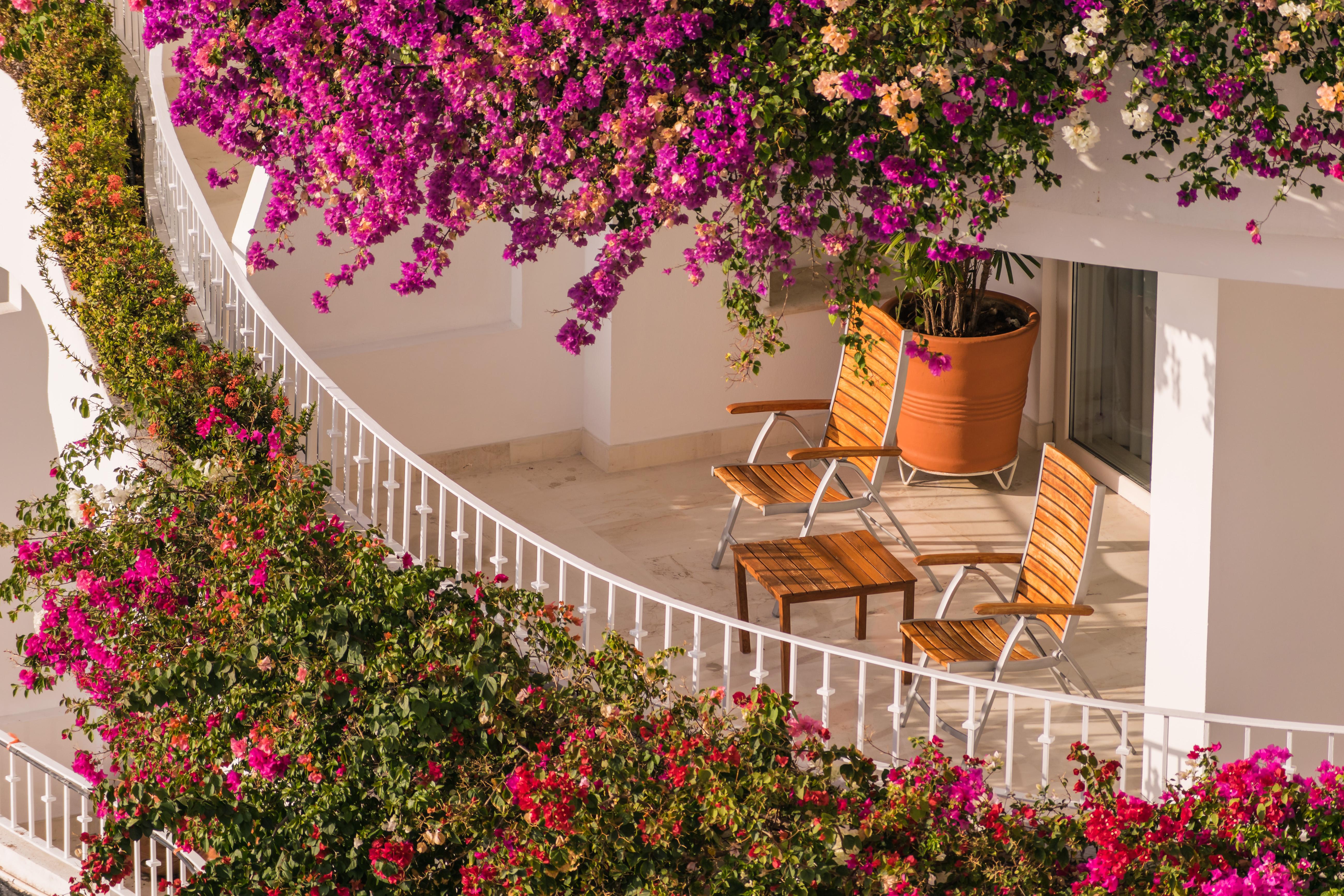 Grand Miramar All Luxury Suites & Residences (Adults Only) Puerto Vallarta Exterior photo