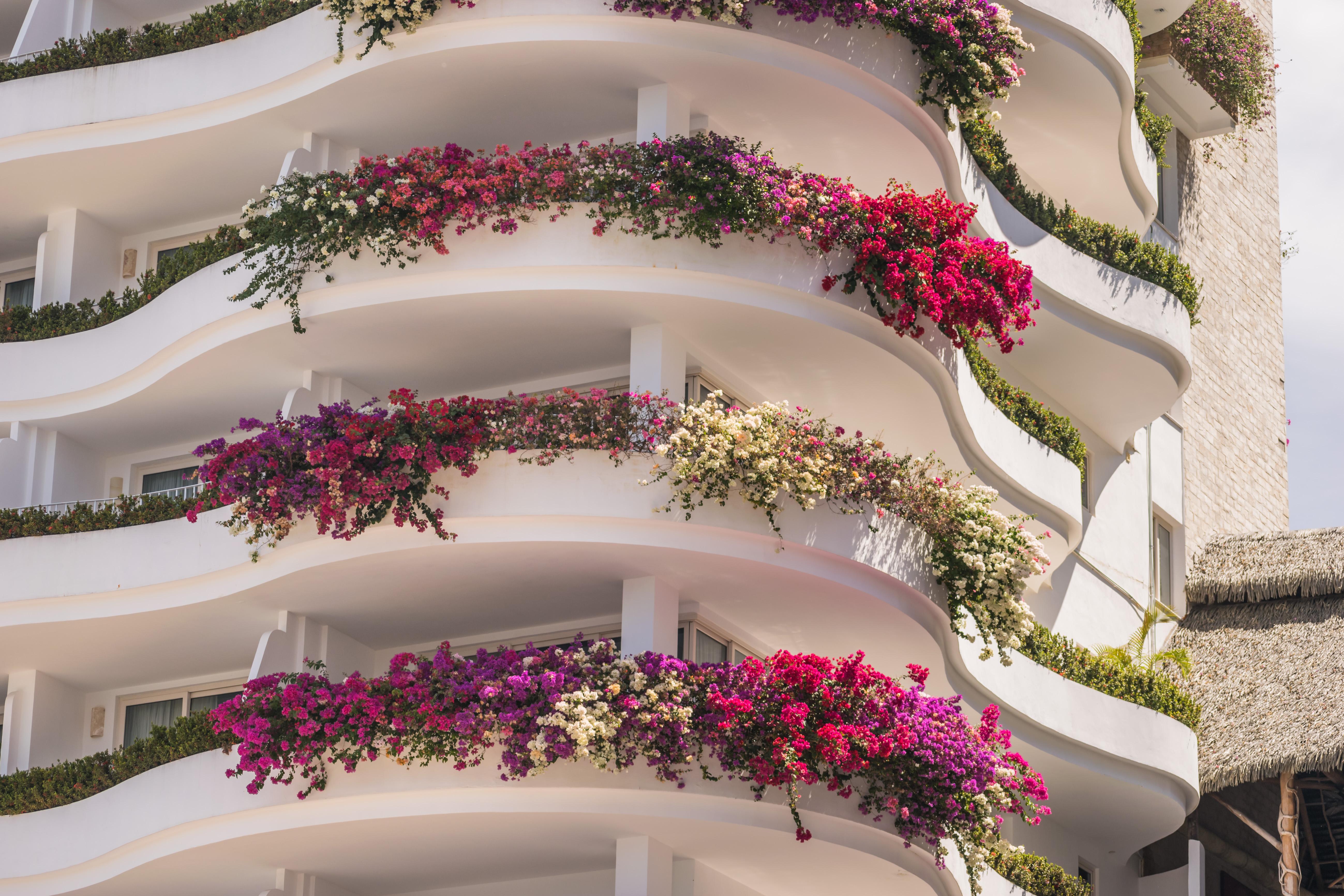 Grand Miramar All Luxury Suites & Residences (Adults Only) Puerto Vallarta Exterior photo