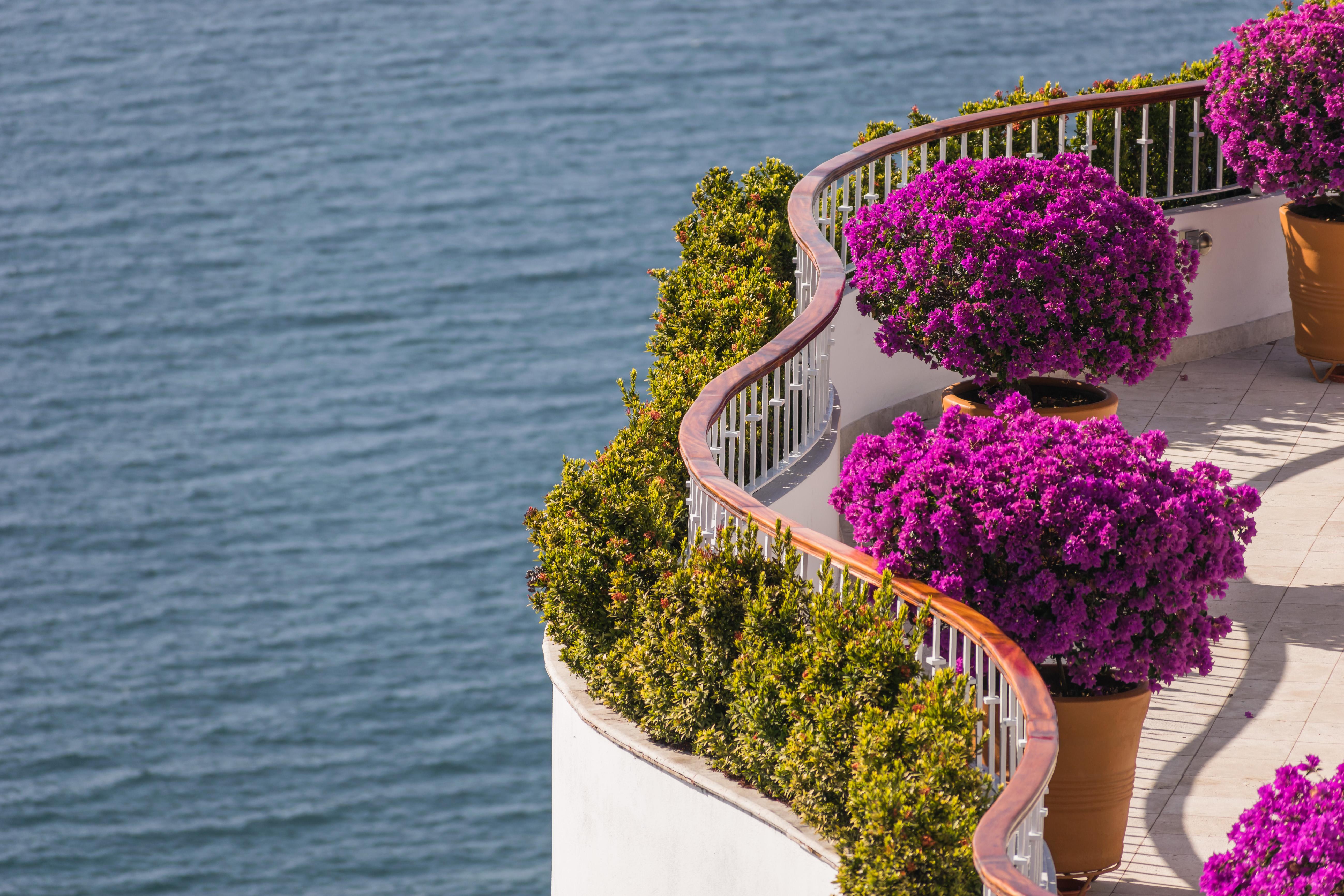 Grand Miramar All Luxury Suites & Residences (Adults Only) Puerto Vallarta Exterior photo
