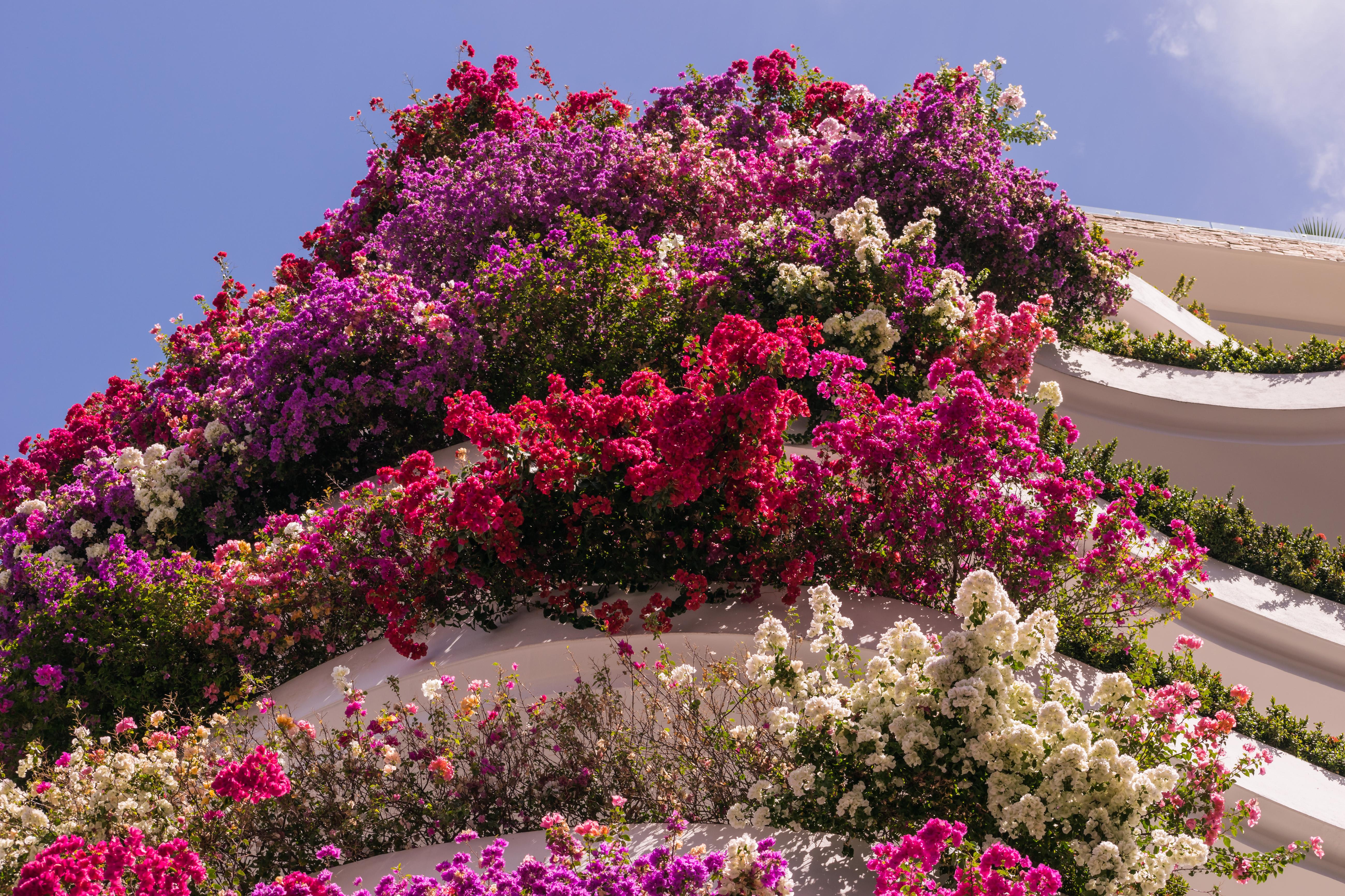 Grand Miramar All Luxury Suites & Residences (Adults Only) Puerto Vallarta Exterior photo